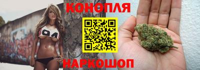 a pvp Обь