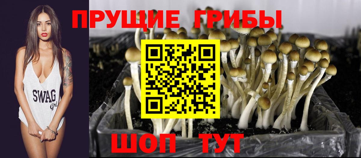 Обнинск  Псилоцибиновые грибы Magic Shrooms  Вход с VPN  Псилоцибиновые грибы мухоморы 