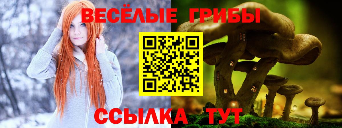 Галлюциногенные грибы GOLDEN TEACHER Обнинск